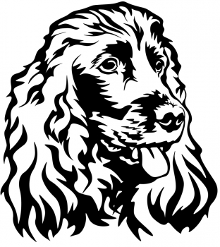 Autoaufkleber "Englischer Cocker Spaniel" Kopf