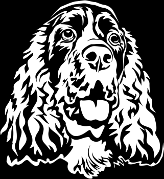 Autoaufkleber "Englischer Springer Spaniel" Kopf