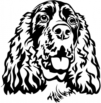 Autoaufkleber "Englischer Springer Spaniel" Kopf