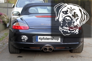 Autoaufkleber "Boerboel" Kopf