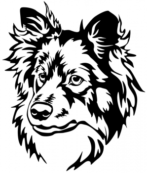 Autoaufkleber "Finnischer Lapphund" Kopf