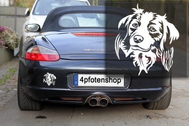 Autoaufkleber "Kooikerhondje" Kopf