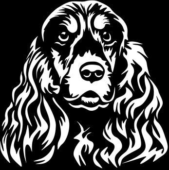 Autoaufkleber "Englischer Cocker Spaniel" Kopf