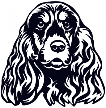 Autoaufkleber "Englischer Cocker Spaniel" Kopf