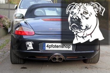 Autoaufkleber "Perro Dogo Mallorquin" Kopf