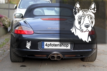 Autoaufkleber "Thai Ridgeback" Kopf