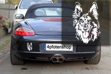 Autoaufkleber "Tiger (Altdeutscher Hütehund)" Kopf