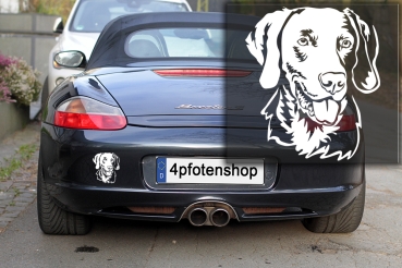 Autoaufkleber "Weimaraner" Kopf