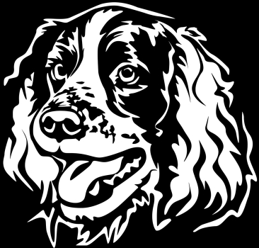 Autoaufkleber "Englischer Springer Spaniel" Kopf