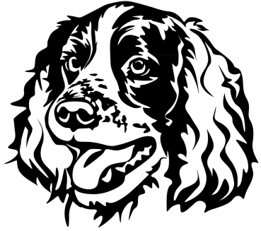 Autoaufkleber "Englischer Springer Spaniel" Kopf