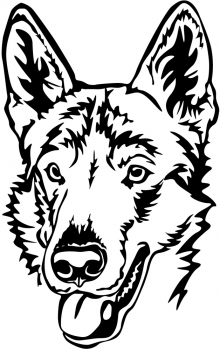 Autoaufkleber "Tschechischer Wolfhund" Kopf