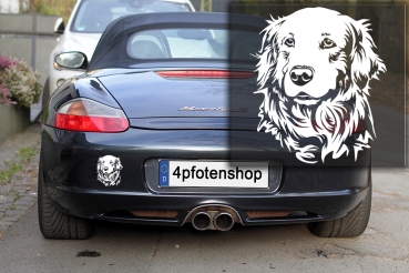 Autoaufkleber "Golden Retriever" Kopf