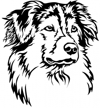 Autoaufkleber "Australian Shepherd" Kopf