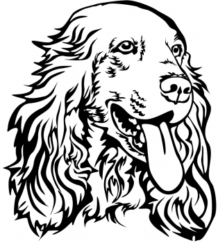 Autoaufkleber "Englischer Cocker Spaniel" Kopf