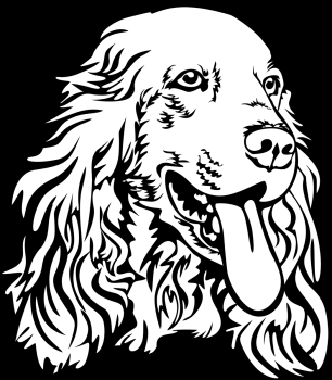 Autoaufkleber "Englischer Cocker Spaniel" Kopf