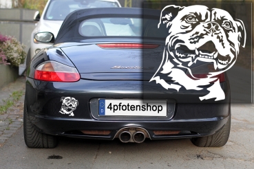 Autoaufkleber "Staffordshire Bullterrier" Kopf