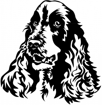 Autoaufkleber "Englischer Cocker Spaniel" Kopf