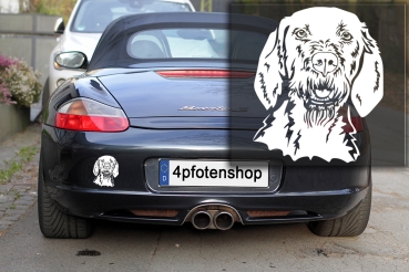 Autoaufkleber "Magyar Vizsla (Drahthaar)" Kopf