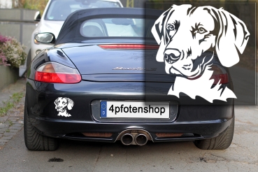 Autoaufkleber "Weimaraner" Kopf