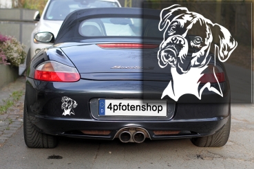 Autoaufkleber "Boxer" Kopf