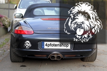 Autoaufkleber "Cockapoo" Kopf