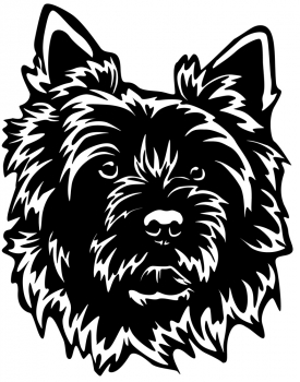 Autoaufkleber "Cairn Terrier" Kopf