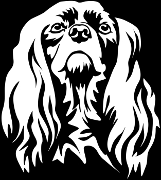 Autoaufkleber "American Cocker Spaniel" Kopf