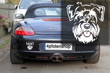 Autoaufkleber "Zwergschnauzer" Kopf