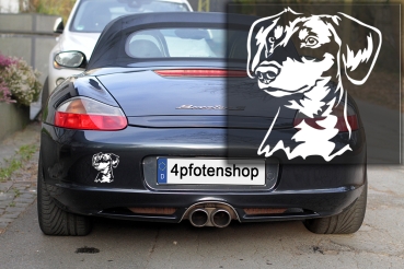 Autoaufkleber "Deutscher Pinscher" Kopf