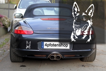 Autoaufkleber "Malinois" Kopf