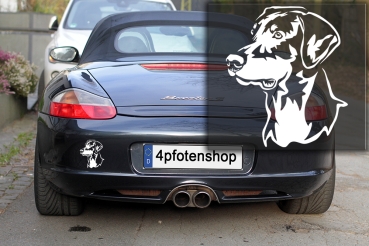 Autoaufkleber "Dobermann" Kopf