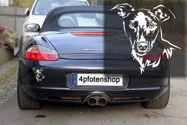 Autoaufkleber "Whippet" Kopf