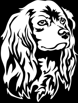 Autoaufkleber "American Cocker Spaniel" Kopf