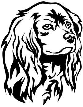 Autoaufkleber "American Cocker Spaniel" Kopf