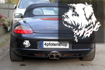 Autoaufkleber "Norfolk Terrier" Kopf