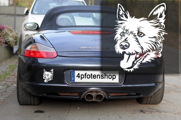 Autoaufkleber "Norwich Terrier" Kopf