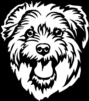 Autoaufkleber "Norfolk Terrier" Kopf