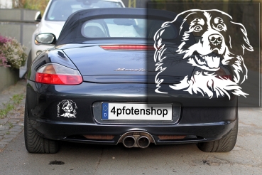 Autoaufkleber "Berner Sennenhund" Kopf