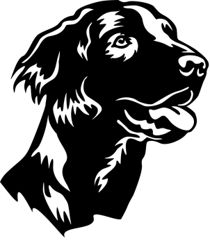 Autoaufkleber "Flat-coated Retriever" Kopf