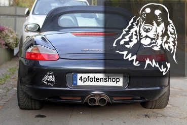 Autoaufkleber "Englischer Cocker Spaniel" Kopf