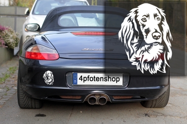 Autoaufkleber "Irish Setter" Kopf