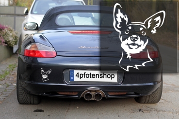 Autoaufkleber "Zwergpinscher" Kopf