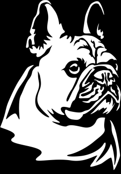 Autoaufkleber "Französische Bulldogge" Kopf