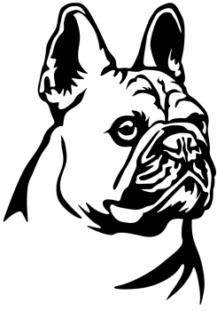 Autoaufkleber "Französische Bulldogge" Kopf