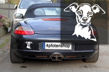 Autoaufkleber "Zwergpinscher" Kopf