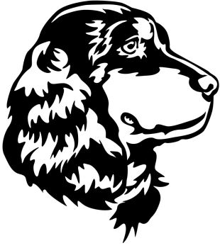 Autoaufkleber "Englischer Cocker Spaniel" Kopf