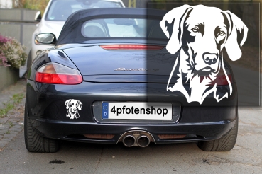 Autoaufkleber "Weimaraner" Kopf