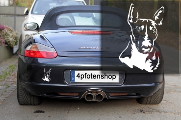 Autoaufkleber "Bullterrier" Kopf