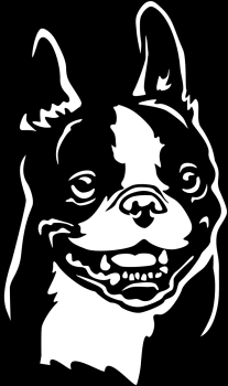 Autoaufkleber "Boston Terrier" Kopf