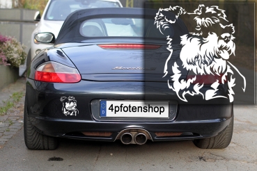 Autoaufkleber "Zwergschnauzer" Kopf